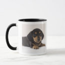 Pesquisar por dachshund diminuto canecas Animal