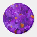 Pesquisar por crocs imas Natureza