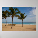 Pesquisar por dominicana pôsteres pósteres Tropical