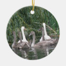 Pesquisar por ciganos ornamentos Branco
