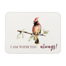 Pesquisar por sentimental imas Amor