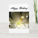 Pesquisar por religious birthday Religion