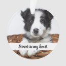 Pesquisar por animais estimação memoriais ornamentos Cão