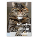 Pesquisar por caixa de lixo cartoes postais Gato