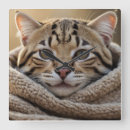 Pesquisar por felinos relogios de parede Para eles