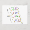Pesquisar por estrutura química cartoes postais Para todos
