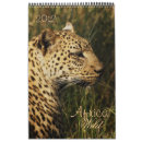 Pesquisar por calendário dos animais selvagens calendarios Safari