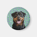 Pesquisar por cães do rottweiler casa presentes Único
