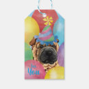 Pesquisar por pei shar Afipei