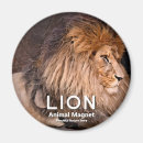 Pesquisar por de leo imas Animal