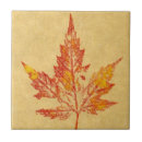 Pesquisar por natureza azulejos Outono