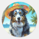 Pesquisar por australian shepherd adesivos Para todos