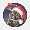 Pesquisar por coruja brilhante adesivos Pássaro