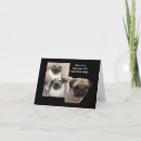 Pesquisar por gato com asas cartoes postais Qualquer pessoa