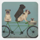 Pesquisar por tandem adesivos Cães em bicicletas