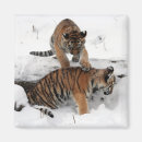 Pesquisar por cubo imas Natureza