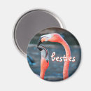 Pesquisar por pássaro imas Flamingo