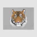 Pesquisar por tigre papeis de seda Vida selvagem