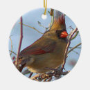 Pesquisar por cardinal ornamentos Feriado