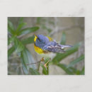 Pesquisar por cantor cartoes cartoes postais Natureza