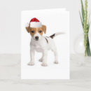 Pesquisar por jack russell terrier dog cartoes postais Animal