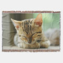 Pesquisar por gatinhos gatinhos mantas Bonito