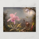 Pesquisar por cattleya cartoes postais Beija flores