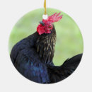 Pesquisar por animais estimação memoriais ornamentos Preto