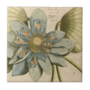 Pesquisar por flor lotus de azulejos Botânico