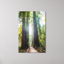 Pesquisar por muir impressão de canvas Natureza