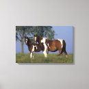 Pesquisar por potro impressão de canvas Pintura