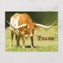 Pesquisar por texas cartoes postais Sudoeste