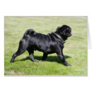 Pesquisar por passeio do cão cartoes postais Espanadores