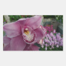Pesquisar por orquídea roxa adesivos Flores