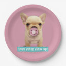 Pesquisar por pacifier engraçado do bebê Bonito