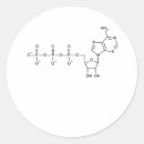 Pesquisar por professor de biologia adesivos Ciência