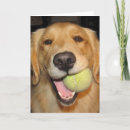 Pesquisar por tennis cartoes Ball