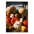 Pesquisar por polpa cartoes postais Outono