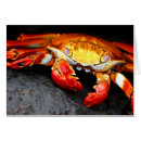 Pesquisar por equador cartoes postais Animais