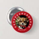 Pesquisar por pet botons Para pets