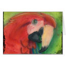 Pesquisar por parrothead Jimmy