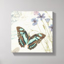 Pesquisar por borboletas impressão de canvas Azul