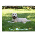 Pesquisar por capa calendarios Calendário