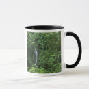 Pesquisar por schäfer canecas Floresta tropical
