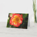 Pesquisar por rose art cartoes Floral