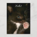 Pesquisar por terno cartoes postais Branco