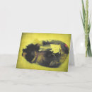 Pesquisar por porco amarelo cartoes Animal