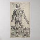 Pesquisar por da anatomia artes pósteres Ossos