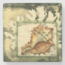 Pesquisar por concha porta copos Praia