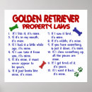 Pesquisar por golden retriever engraçado pôsteres pósteres Bonito